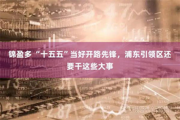 锦盈多 “十五五”当好开路先锋，浦东引领区还要干这些大事