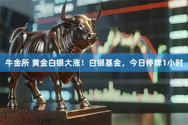 牛金所 黄金白银大涨！白银基金，今日停牌1小时