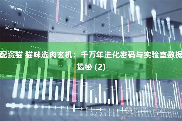 配资猫 猫咪选肉玄机：千万年进化密码与实验室数据揭秘 (2)