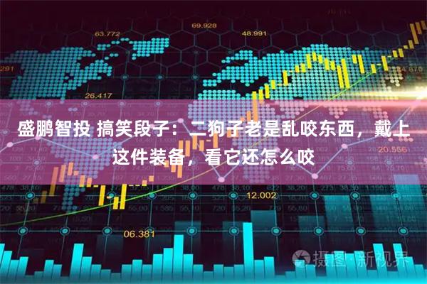 盛鹏智投 搞笑段子：二狗子老是乱咬东西，戴上这件装备，看它还怎么咬
