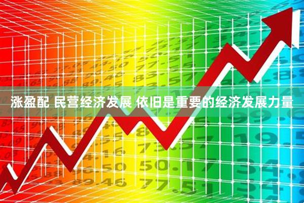 涨盈配 民营经济发展 依旧是重要的经济发展力量